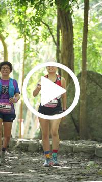 BIB:  <button type="button" onclick="openModal(28102309)" class="btn btn-primary btn-sm float-right" data-toggle="modal" data-target=".modal-high-quality">
                <i class="fa fa-download"></i> Download
                </button>